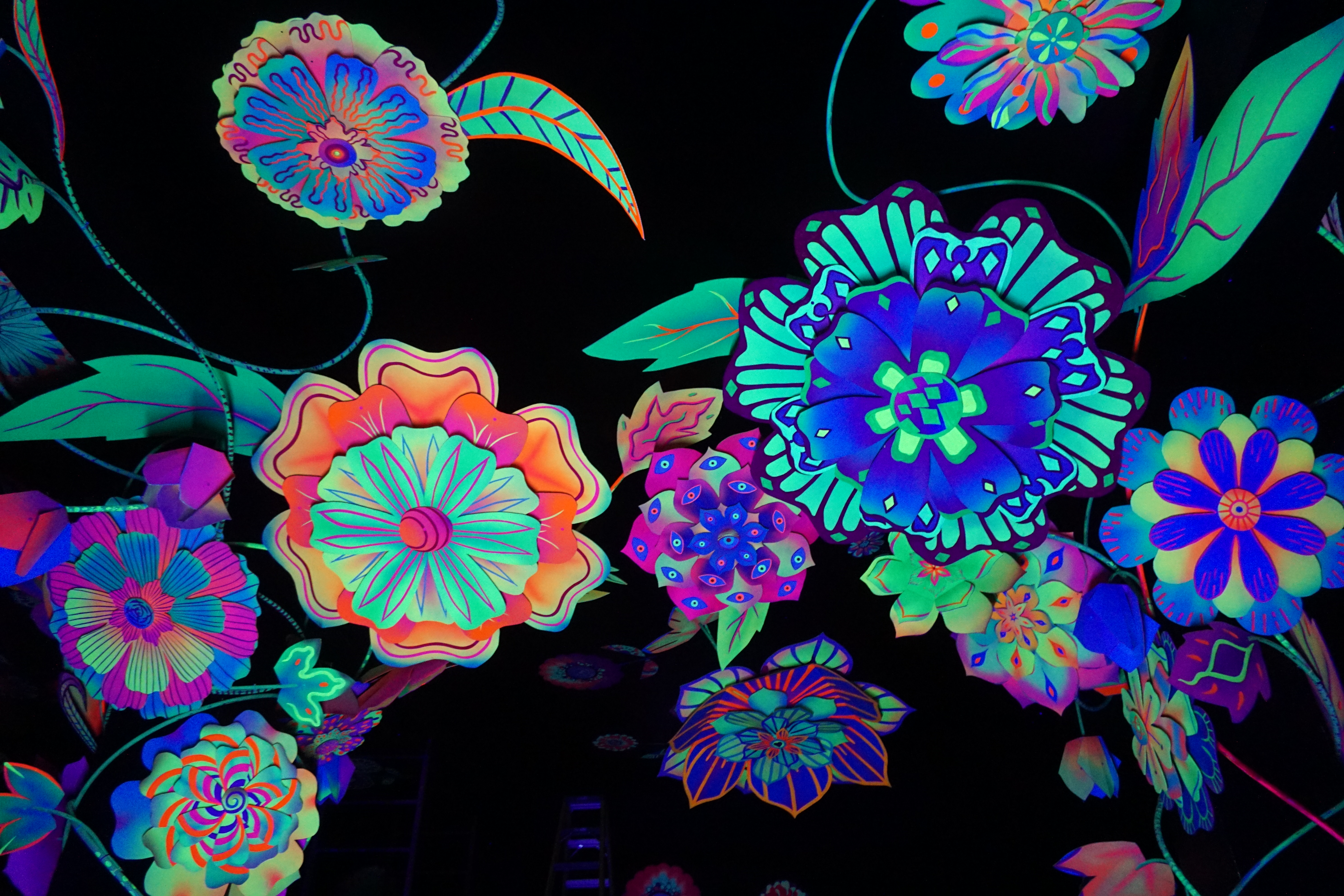 Glowing Garden